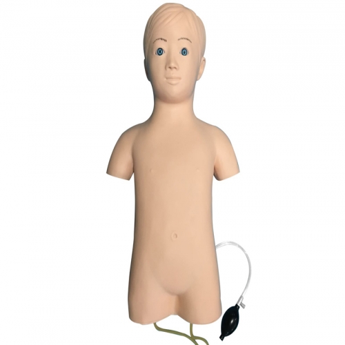 儿童股静脉与股动脉穿刺训练模型