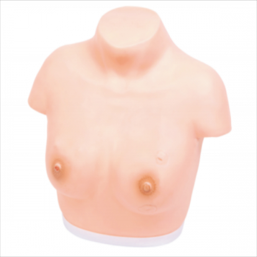 高级乳腺视诊与触诊模型