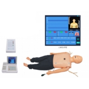 高级多功能急救训练模拟人（心肺复苏CPR、气管插管、除颤起搏）